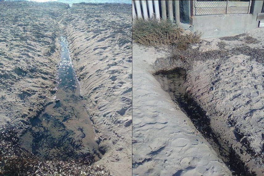 Quartu, il litorale avvelenato dagli scarichi abusivi: perchè questo sconcio?