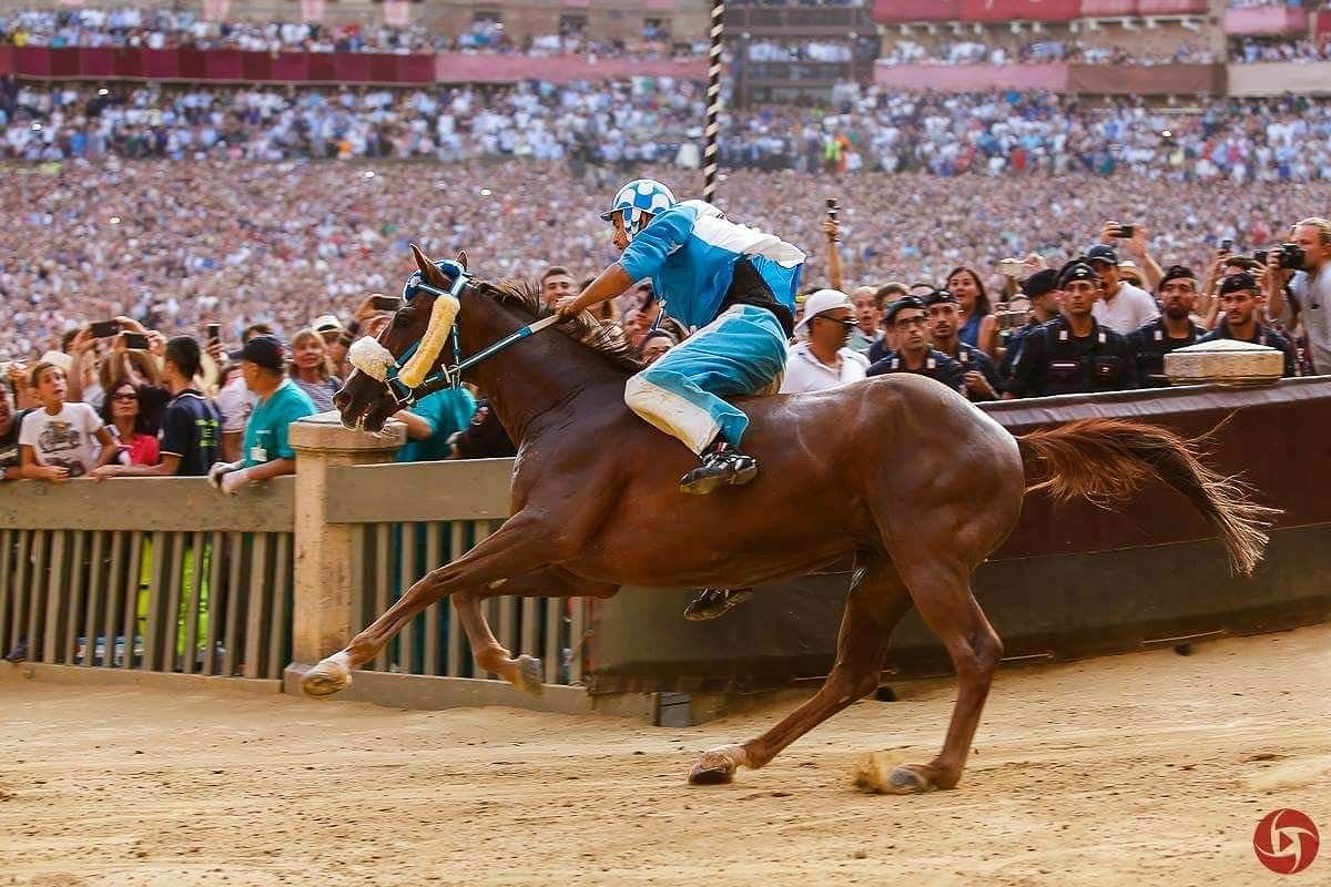 Carlo Sanna, candidato come sardo dell’anno per la passione per i cavalli