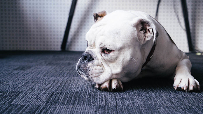 Capoterra, ordinanza anti botti per Capodanno: multa “leggera” ai trasgressori