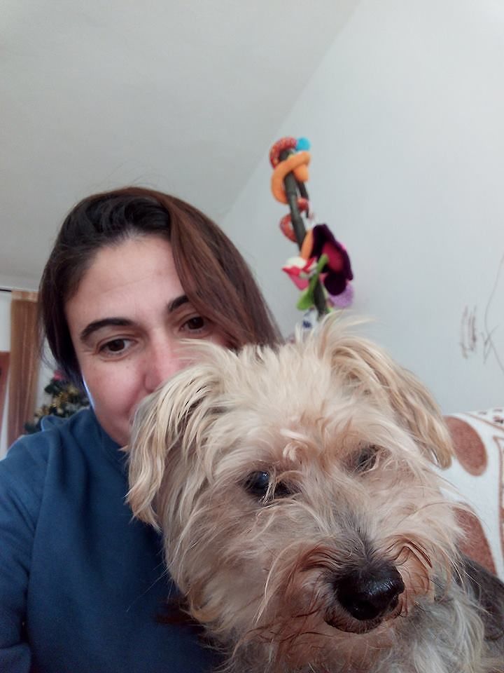 Cani, gatti e conigli in vacanza? Possibile a Quartu, da “tata Irene”