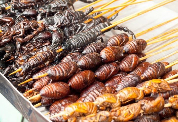 Da oggi gli “Aperinsetti”, il nuovo cibo a Cagliari: “Ma scegliete prodotti italiani”