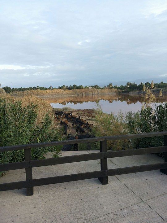 Terramaini il parco abbandonato, dove la natura si riprende gli spazi: quando la bonifica?