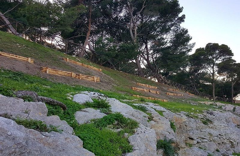 Viale San Vincenzo, in arrivo 250 alberi: mandorli e noci sotto il carcere
