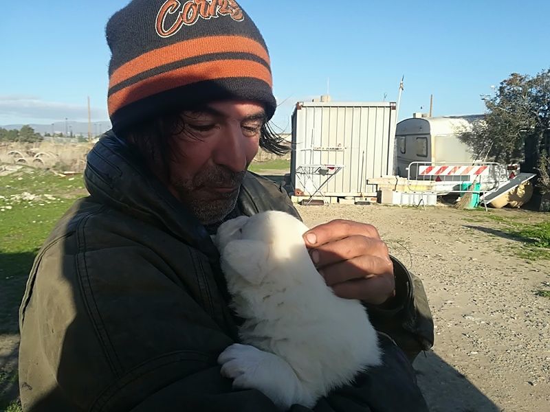 Marino di Cagliari, la “non vita” dentro un container: “Dieci anni in attesa di un aiuto”