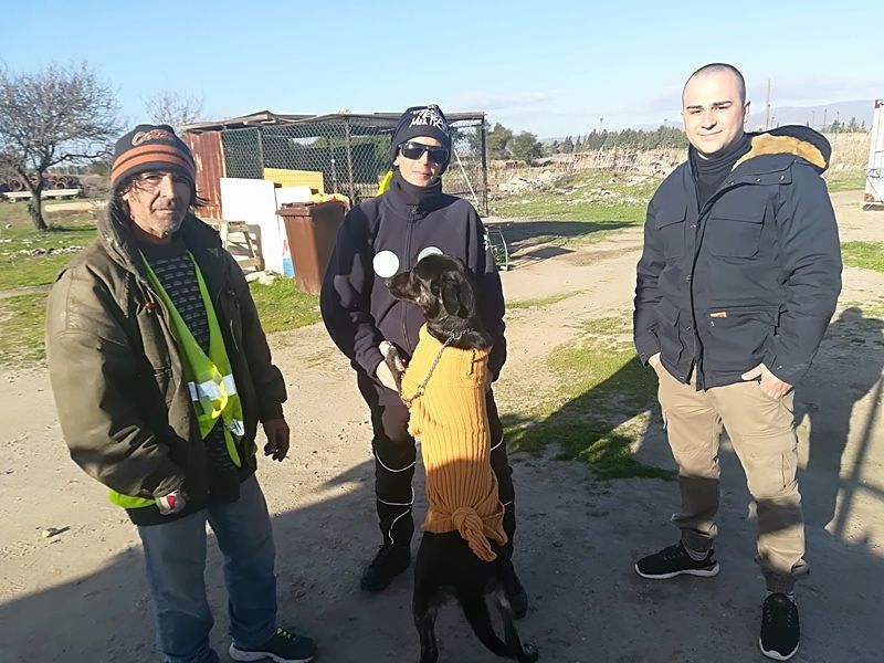Cagliari, gara di solidarietà vinta: i volontari riportano la cagna Dora a signor Marino