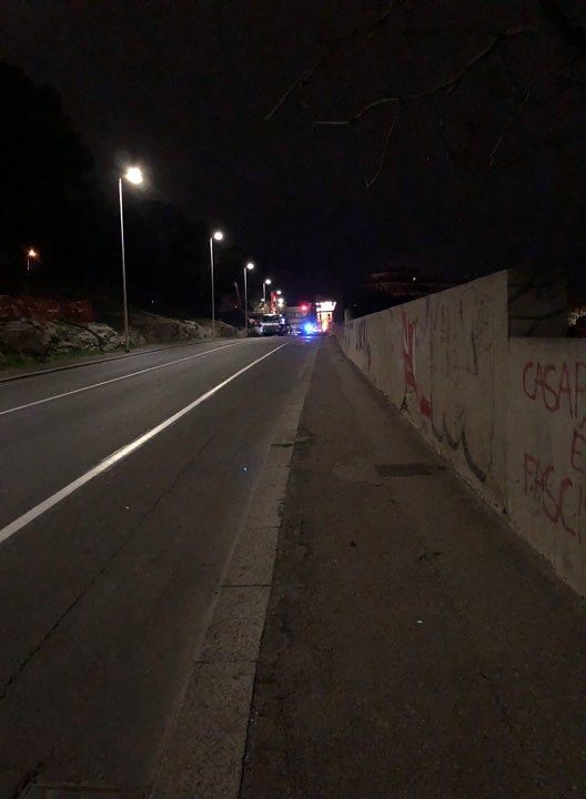 Cagliari, albero si schianta sull’asfalto in viale San Vincenzo: chiusa la strada