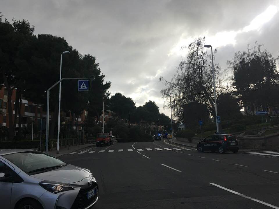 Maestrale da incubo: crolla albero in via Flavio Gioia, Cagliari-Milan a rischio