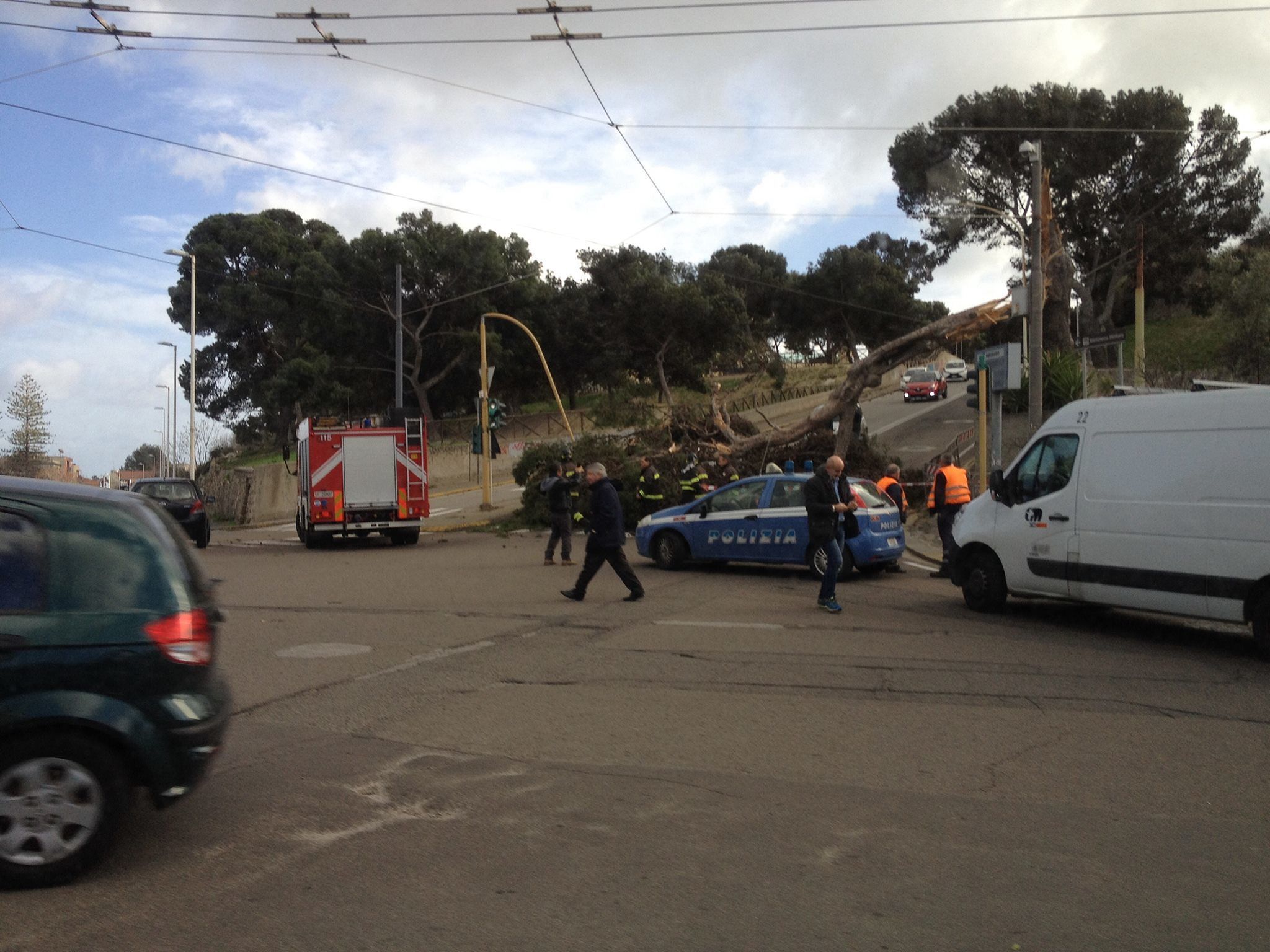 Cagliari, vento e paura in piazza d’Armi: albero si schianta sopra un’auto