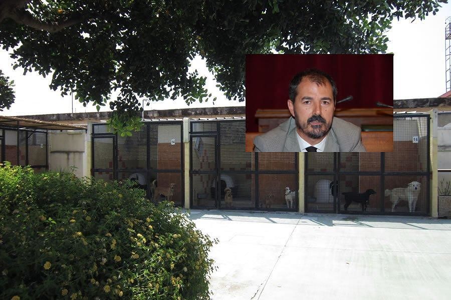 Cagliari, il canile cambia indirizzo: “Quello nuovo immerso in un grande parco”