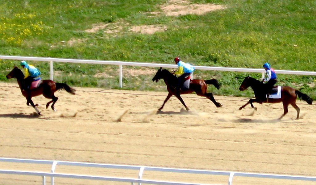 Dalla Giunta 200 mila euro per gli ippodromi di Villacidro, Sassari e Chilivani