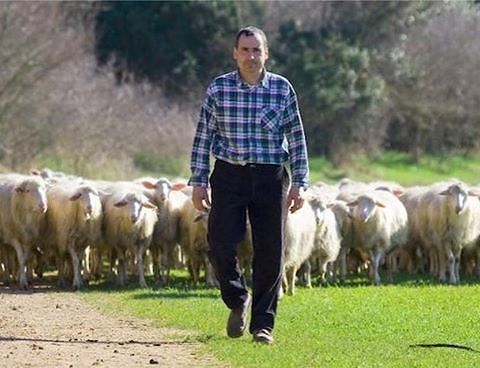 Sardegna, la rabbia dei pastori: “Crisi nelle campagne, riprendetevi le schede elettorali”