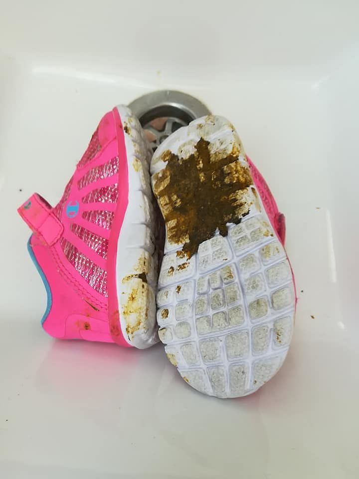 “Assemini, basta con i cani che defecano dove passeggiano i bambini”