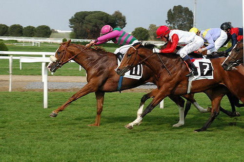 Ippodromi di Sassari e Chilivani, Tedde: “Centrosinistra ne decreta l’estizione”