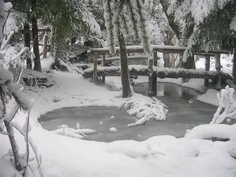 Gennargentu imbiancato, ecco il paesaggio incantato a Desulo e Fonni