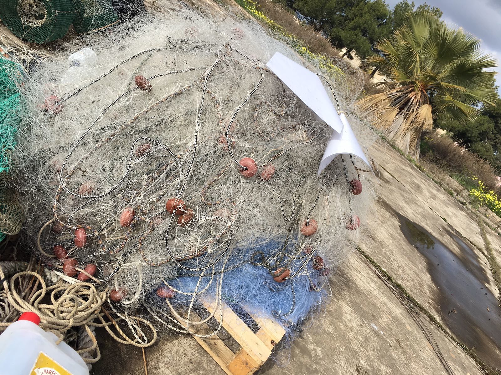 Pesca di frodo nell’area protetta di Capo Carbonara: nei guai pescatore