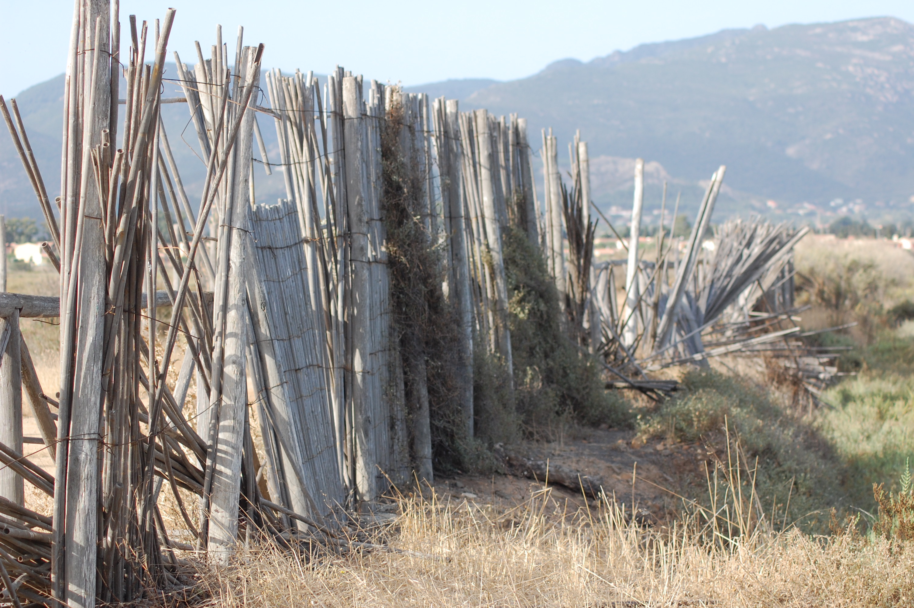 “Ancora il “parco minestrone”: fumo negli occhi per Santa Gilla, Molentargius e Sella del Diavolo”