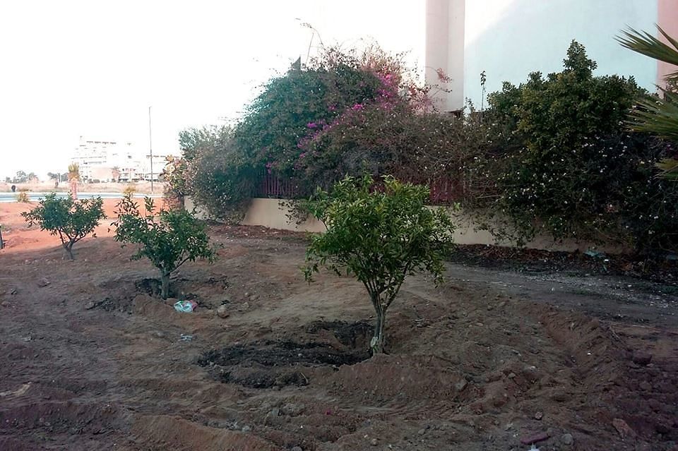 Arance e fichi gratis per il quartiere: a Sant’Elia nasce il frutteto condiviso