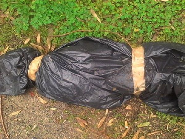 Orrore a Quartu: trovati resti di cani in sacchi neri