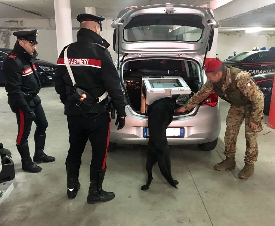 Olbia, maxi sequestro di cocaina al porto: in manette ex imprenditore 68enne