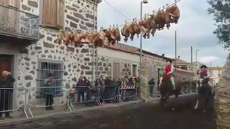 Polli appesi e infilzati per gioco a Sedilo, la LAV: “Tradizione demenziale, ora basta”