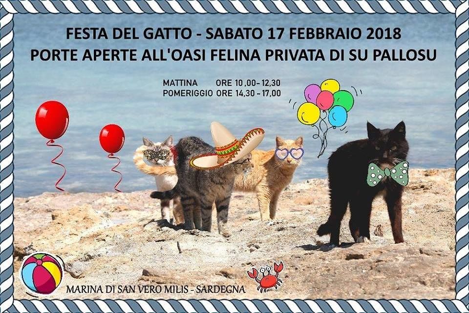 Festa del Gatto, Porte Aperte all’Oasi Felina di “Su Pallosu”