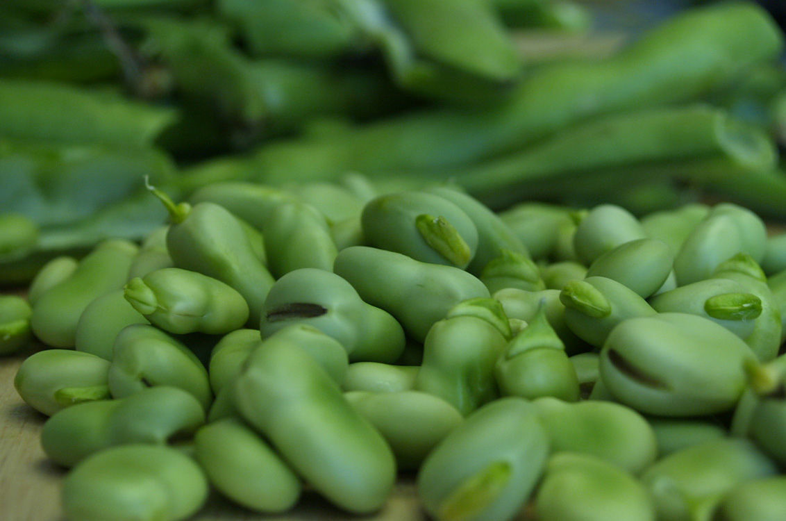 “Noi sardi con il favismo, ancora una volta discriminati nei concorsi  pubblici”