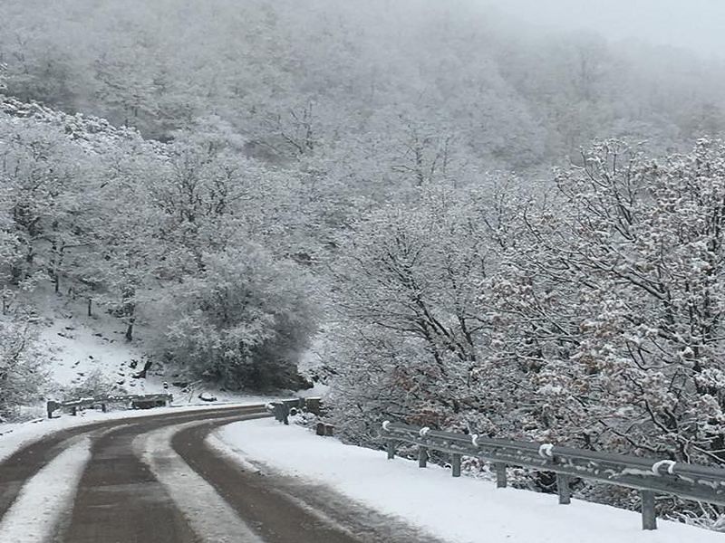 Sardegna, tutta la magia della neve: imbiancati parchi e montagne nel Nuorese