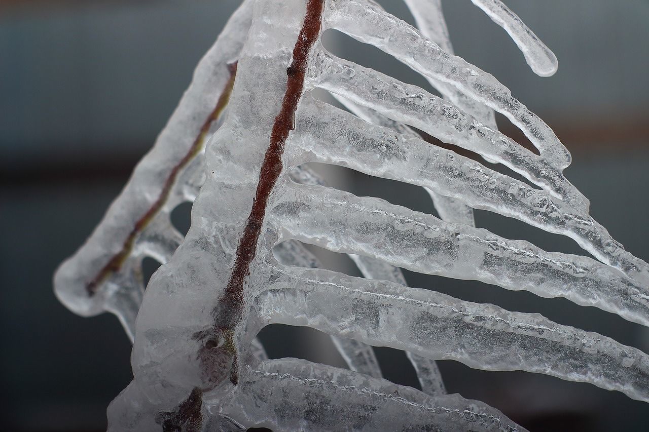 Breve tregua dal freddo, ma domenica arriva il gelo siberiano in Sardegna