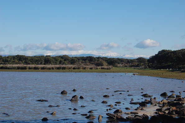 Ambiente, 23 associazioni chiedono risposte alle forze politiche