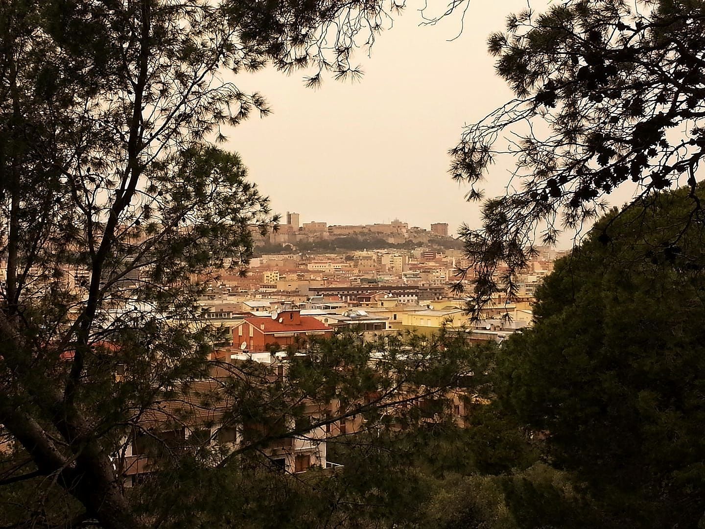 Cagliari oggi, tanta umidità e tanta bellezza: auto sporcate dalla polvere sahariana