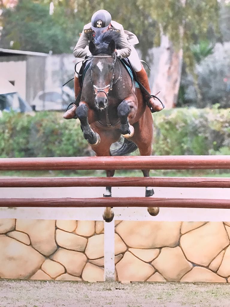 Esercito, a Cagliari il Concorso ippico nazionale di salto ostacoli