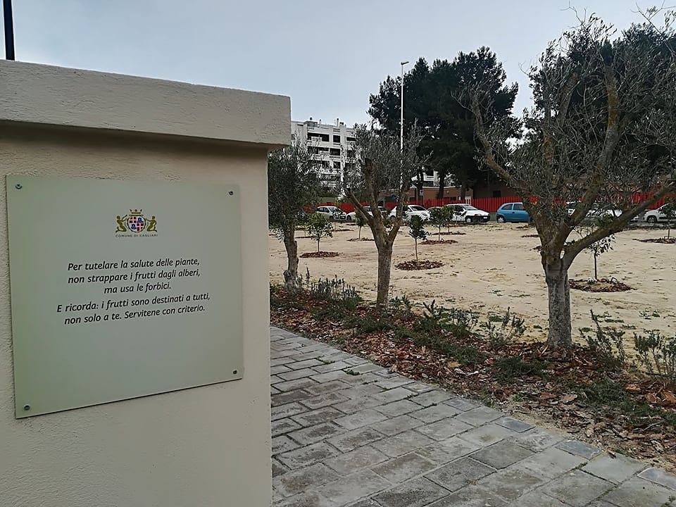 Cagliari, nasce l’orto condiviso in via Biasi: “Già colti tutti i limoni”