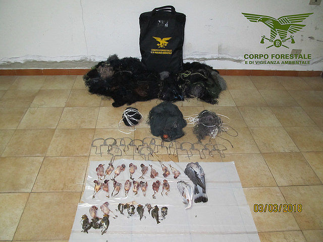 Reti, tagliole e 28 uccelli morti: due bracconieri denunciati a Villaputzu