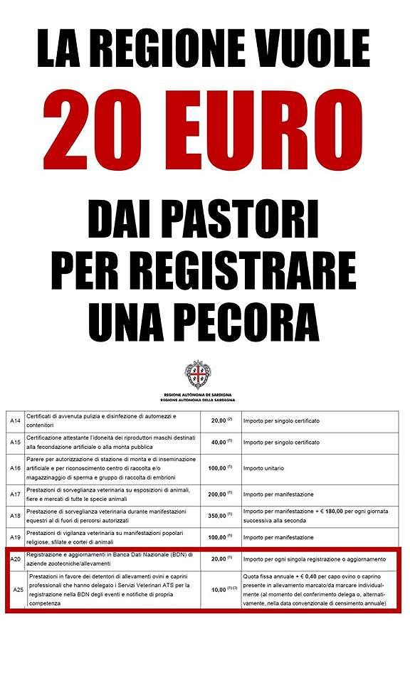 “La Sardegna dà milioni al Qatar, e ora spunta anche la tassa sulle pecore”