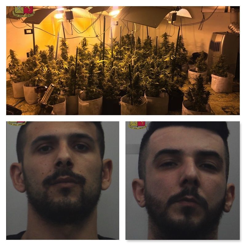 Scoperta dalla polizia una serra di marijuana a Quartu: doppio arresto