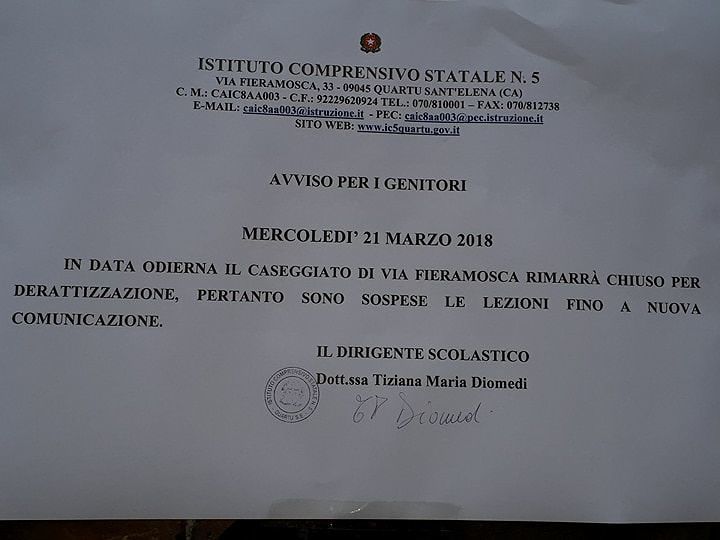 Quartu, topi nella scuola elementare: il video del bidello fa il giro via app