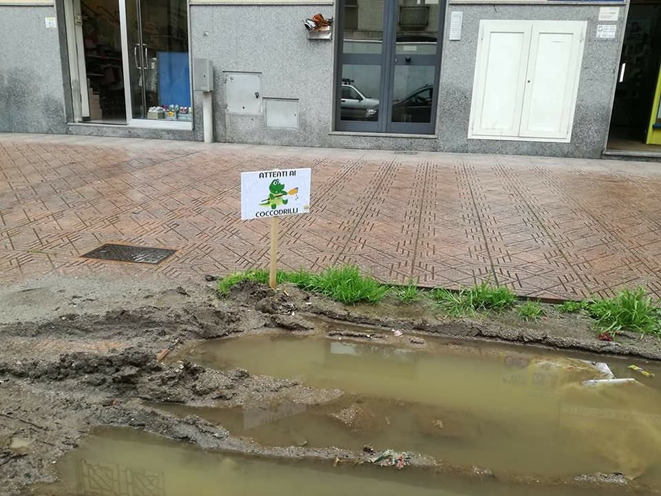 Quartu come Miami, l’aiuola abbandonata diventata un Gator Park