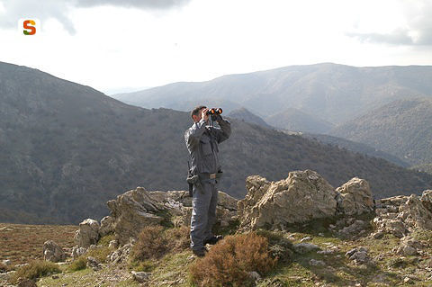 Si erano smarriti nel bosco: ritrovati sani e salvi 2 coniugi di Santadi