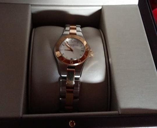 Perde un Baume & Mercier al Fbi: “Era un regalo, aiutatemi a ritrovarlo”