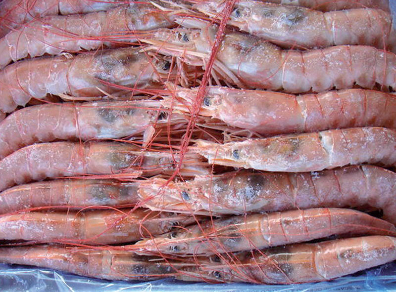 Ruba gamberi surgelati per 100 euro: 52enne arrestato in viale Elmas