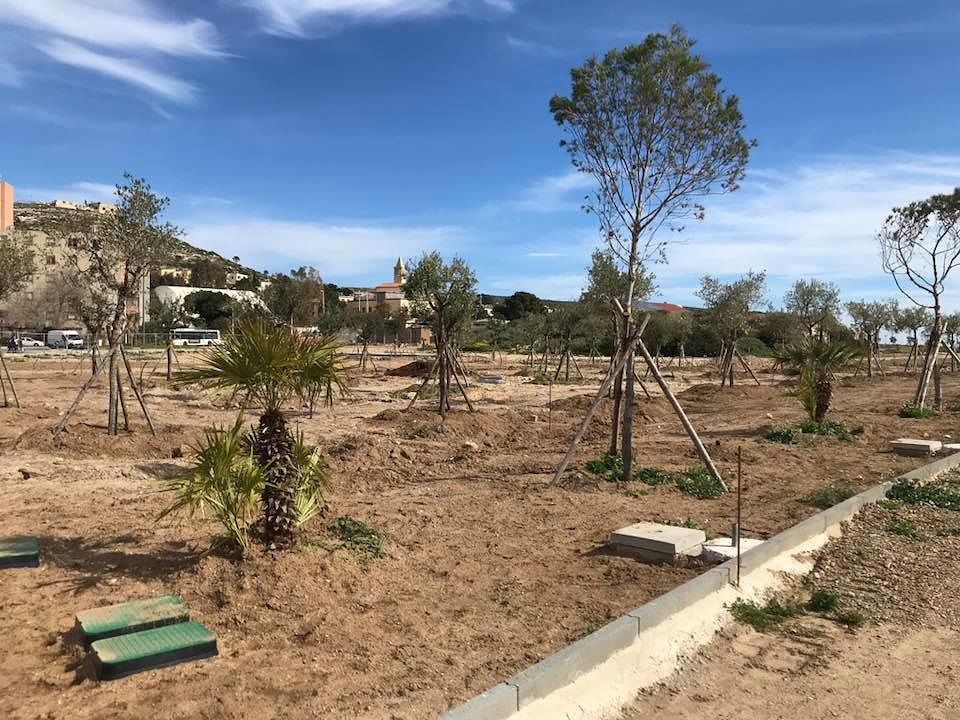 Parco degli Anelli e frutteto condiviso: entro l’estate S.Elia si tinge di verde