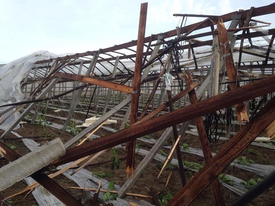 Una tromba d’aria distrugge le serre, gravissimi danni a Decimoputzu