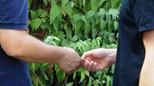 Minacce di morte e tanta droga tra le mani, ecco come agiva la baby gang sgominata a Nuoro