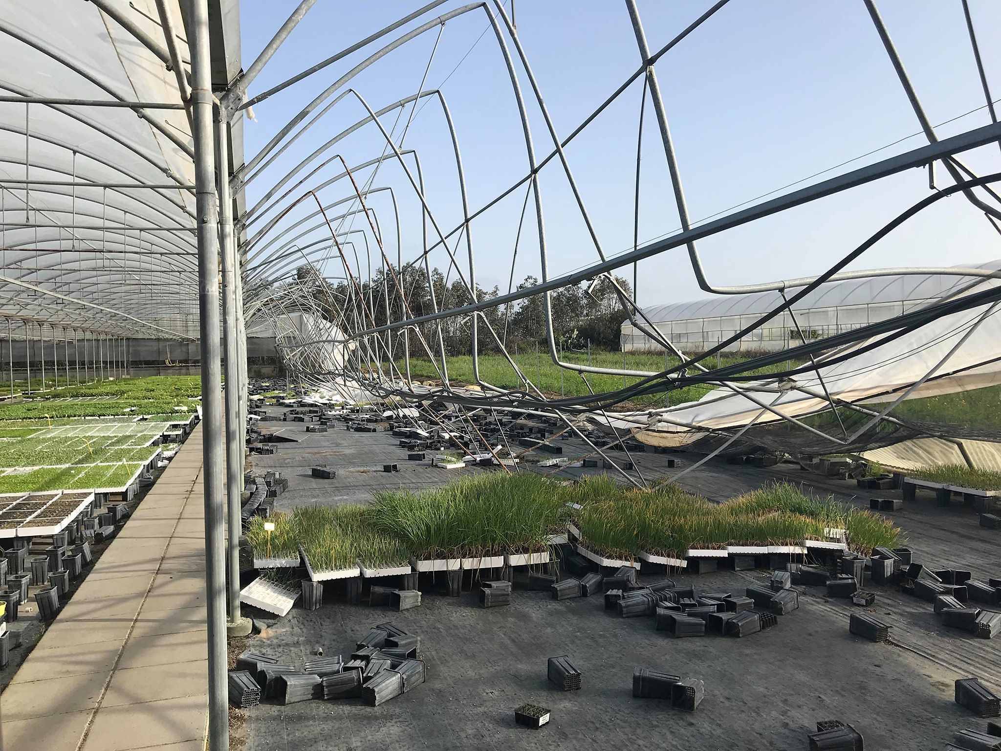 Tromba d’aria a Decimoputzu: “Serre distrutte, la Regione aiuti le aziende colpite”