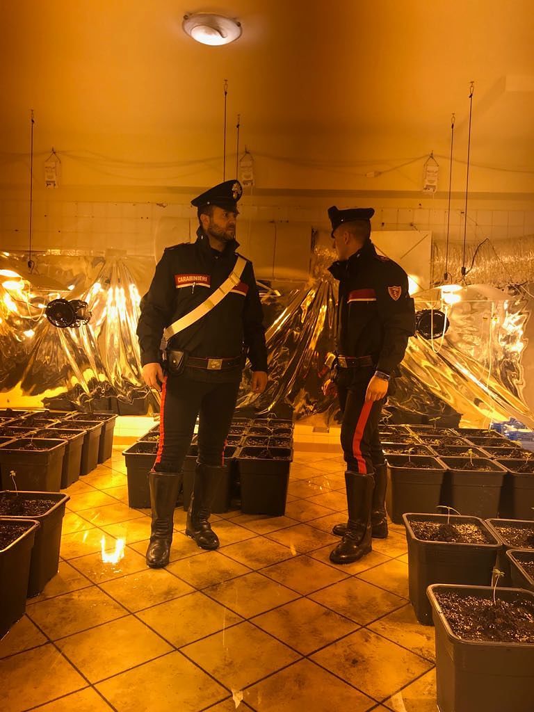 Maxi serra sotterranea di marijuana: 19enne di Quartucciu nei guai