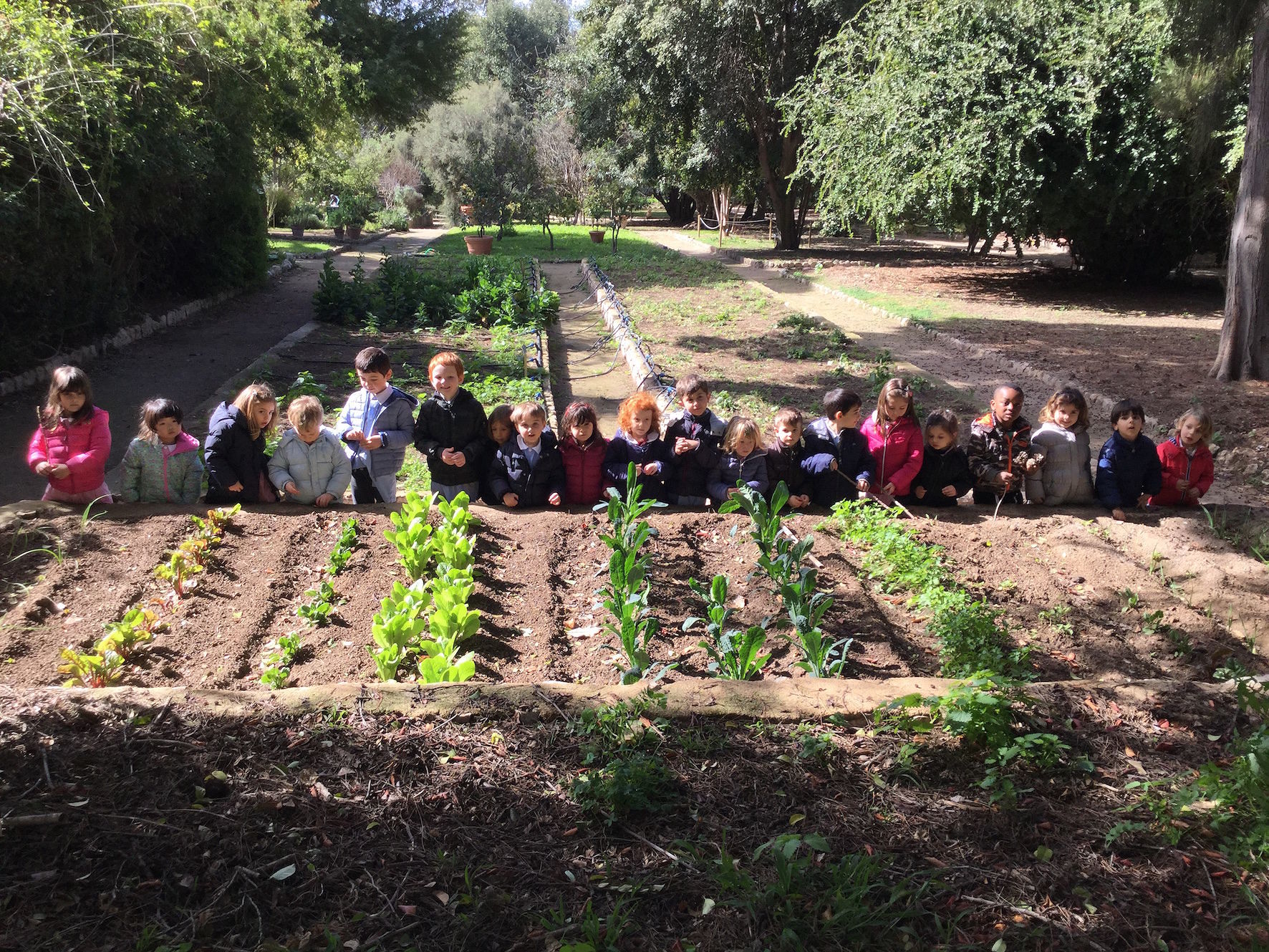 Orto botanico: nasce l’orto elfico curato dai bambini della scuola “Satta”
