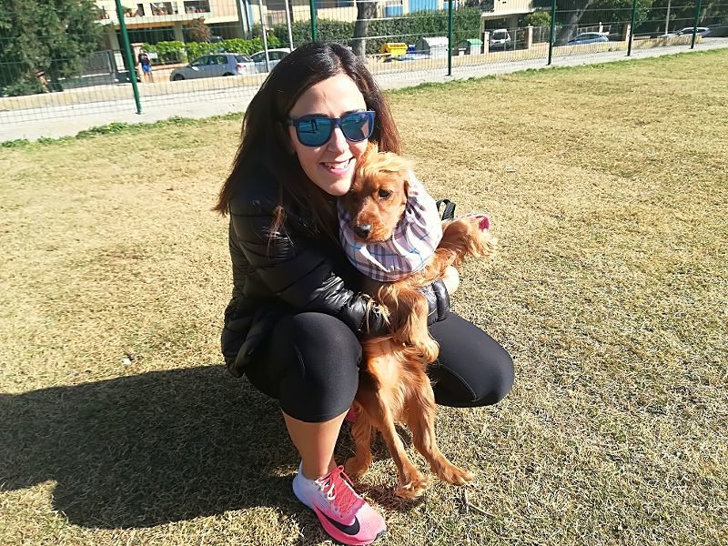 “Tanti cani randagi anche a Cagliari, se la tassa serve a salvarli sono d’accordo”