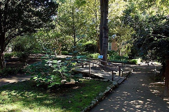 “Passeggiate nella bellezza” a Cagliari: domenica apertura straordinaria dell’Orto Botanico