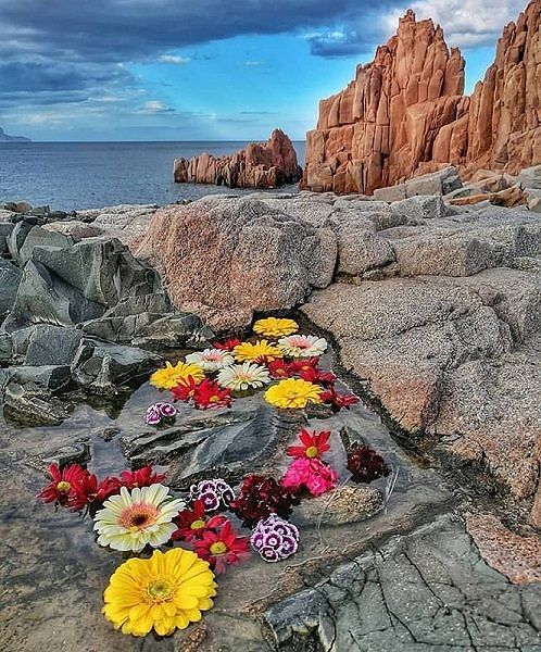 “Primavera” alle Rocce Rosse di Arbatax: lo scatto social è virale