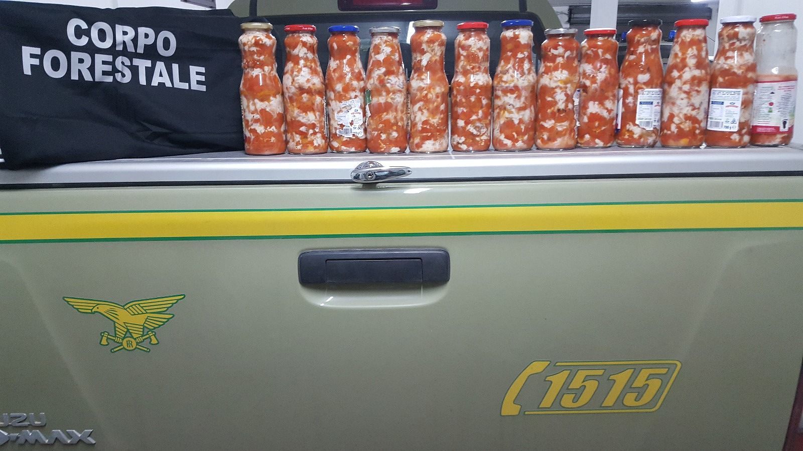 Sardegna, sequestrati dalla Forestale 9 Kg di polpa di ricci